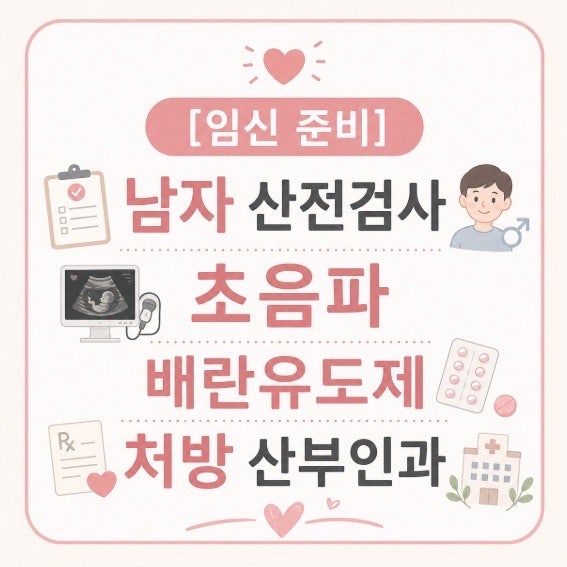 [임신 준비] 남자 산전검사 초음파 배란유도제 처방 산부인과 진료비