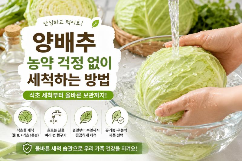 양배추 농약 걱정 없이 세척하는 방법