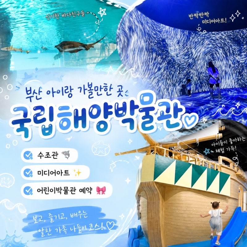 부산 아이랑 가볼만한 곳 국립해양박물 ｜수조관부터 미디어아트, 어린이박물관까지 하루종....