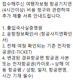 여행자보험 청구 서류 발급/중국동방항공 비행기 지연 확인서 발급