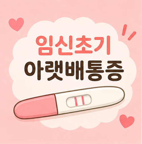 임신초기 아랫배통증 묵직 뭉침 느낌 경험과 원인 초음파 검사 후기