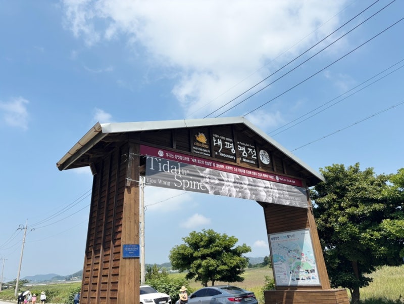 4박5일 남도여행 ⑤ | 신안 증도 태평염전 소금체험