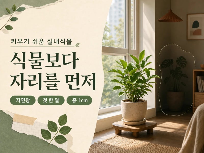 "물만 줬는데 죽었어요" 키우기 쉬운 실내식물 고르는 법