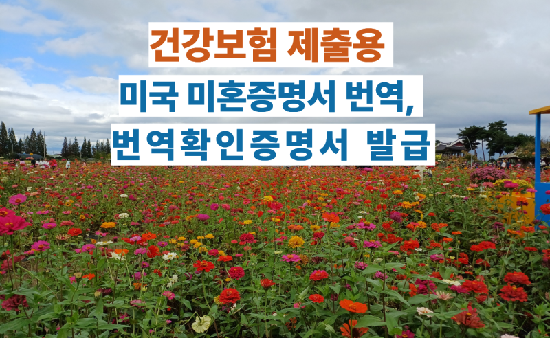건강보험 제출용 미국 미혼증명서 번역 및 번역확인증명서 발급 사례[인천 외국어번역행정....