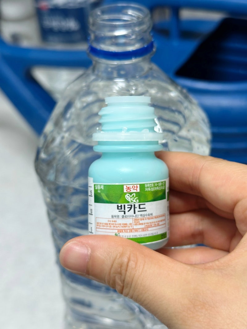 화분 뿌리파리 퇴치 빅카드 농약 사용법 희석 사용 총정리
