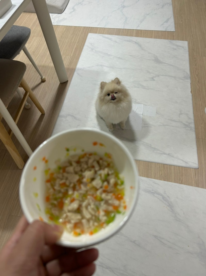 강아지 삼계죽 만들기 여름철 댕댕이 보양식
