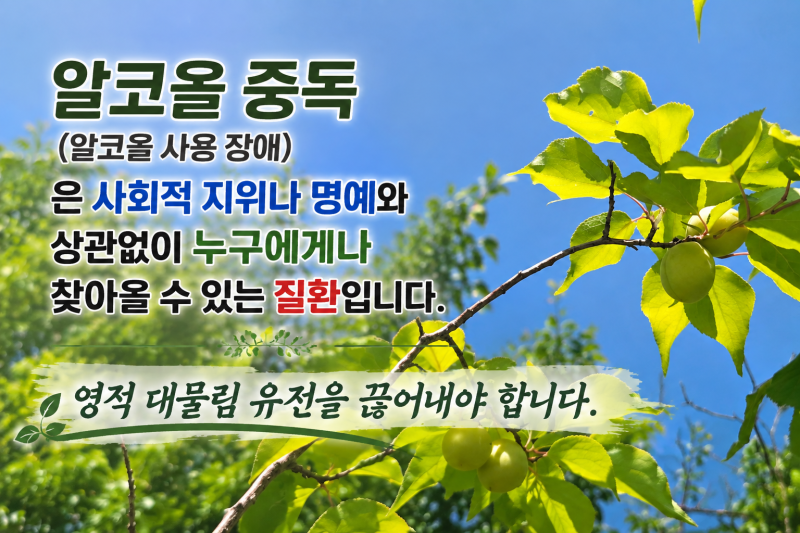 알콜중독 치료방법, 자가진단 약물치료 질병분류코드 그리고 국가지원기관 및 생기처방 인....