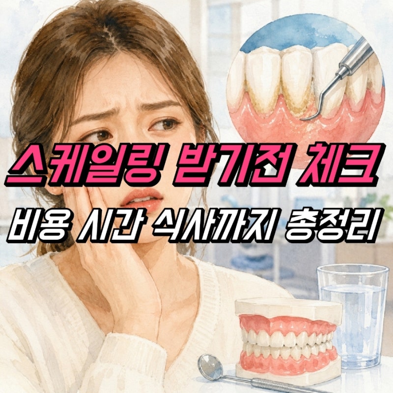 스케일링 비용 주기 시간, 후 식사 치아시림 통증 주의!