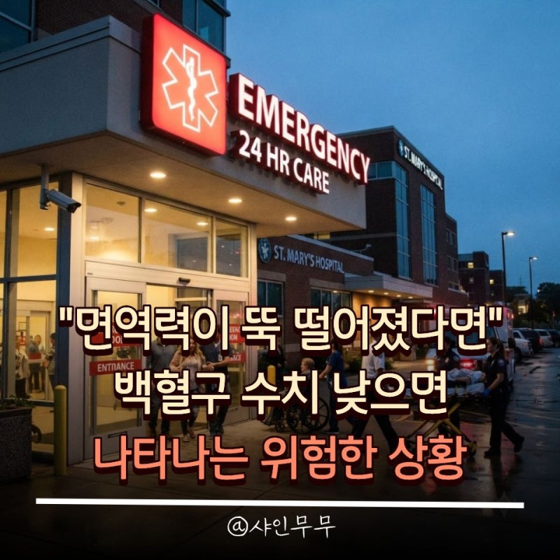"면역력이 뚝 떨어졌다면" 백혈구 수치 낮으면 나타나는 위험한 상황
