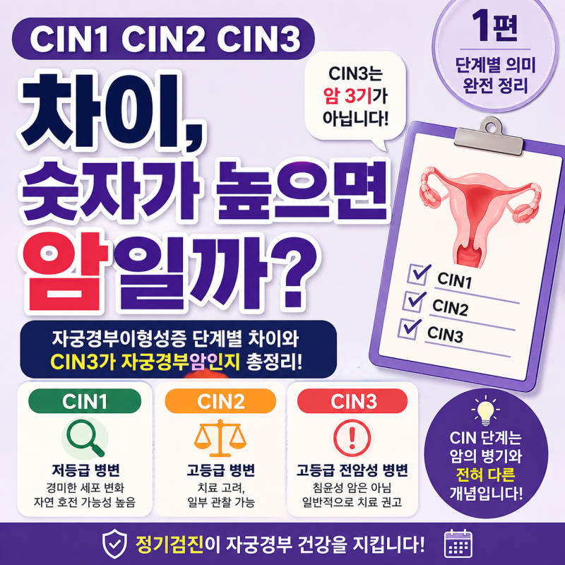 CIN1 CIN2 CIN3 차이, 숫자가 높으면 암일까?