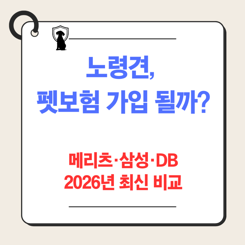 14살 강아지 펫보험 가입될까? 메리츠·삼성·DB 펫보험 2026년 최신 비교