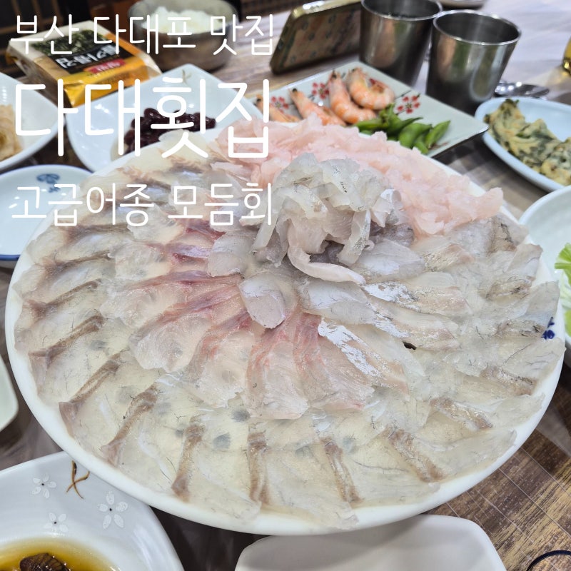부산 다대포 맛집 "다대횟집" 여름 제철 하모회와 고급어종 모듬회 솔직후기