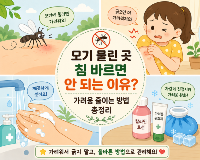모기 물린 곳 침 바르면 안 되는 이유? 가려움 줄이는 방법 총정리