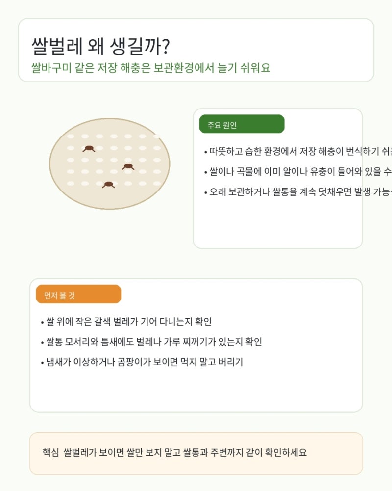 쌀벌레 없애는법 벌레 보이면 바로 이렇게 하세요