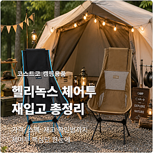 코스트코 헬리녹스 체어투 재입고! 가격·스펙 총정리