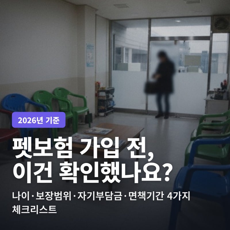펫보험 가입 전 확인사항 4가지, 몰랐다간 손해볼 뻔했습니다
