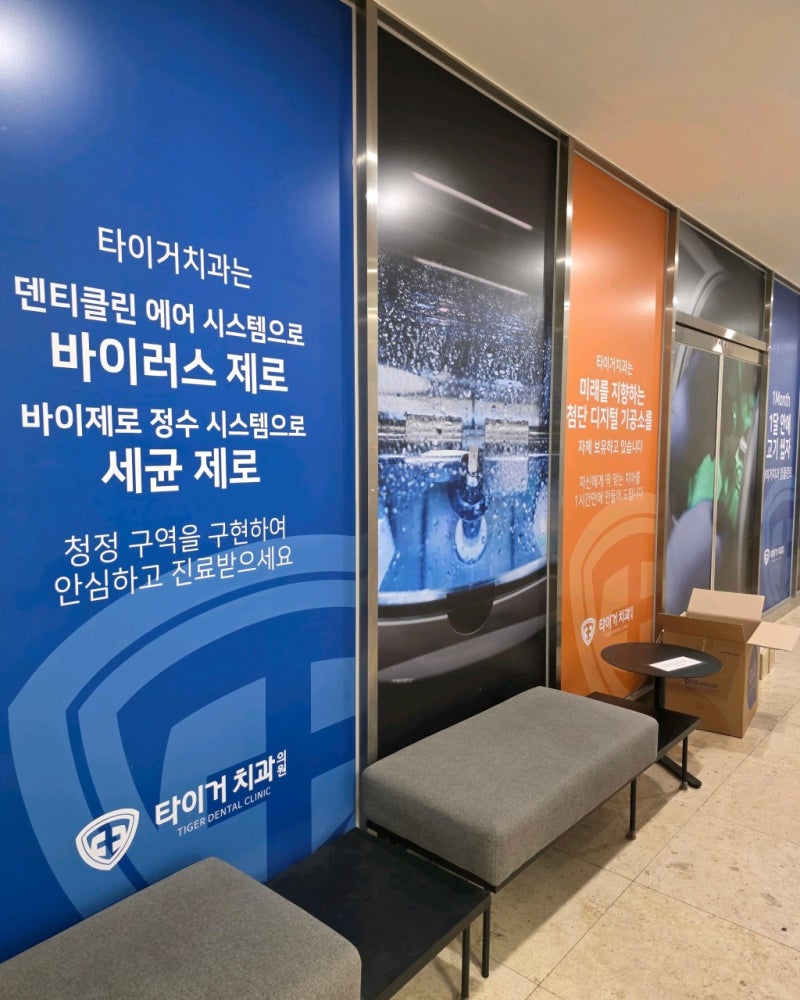 과천임플란트 종류, 뼈이식에 따라 달라지는 가격과 치료 과정