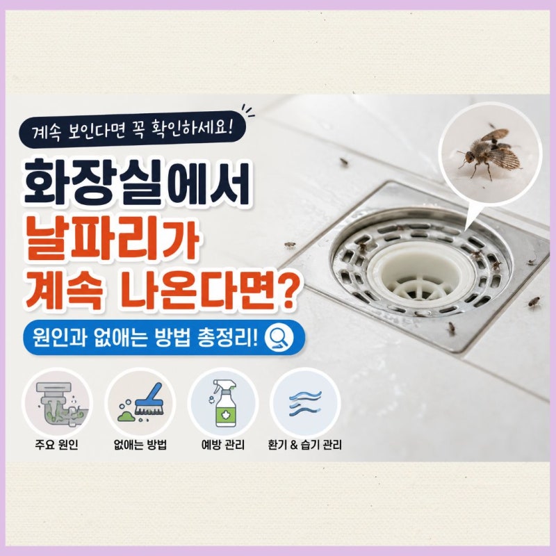 화장실에서 날파리가 계속 나온다면? 원인과 날파리 없애는 방법