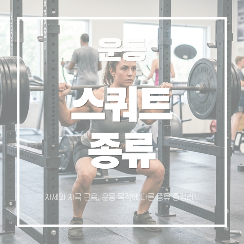 운동 | 스쿼트 종류 총정리! 백스쿼트·프론트스쿼트·고블릿·불가리안 스플릿 스쿼트 특징