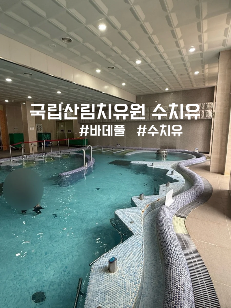국립산림치유원 수치유 후기