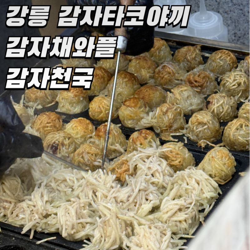 강릉 감자천국 감자타코야끼 감자채와플