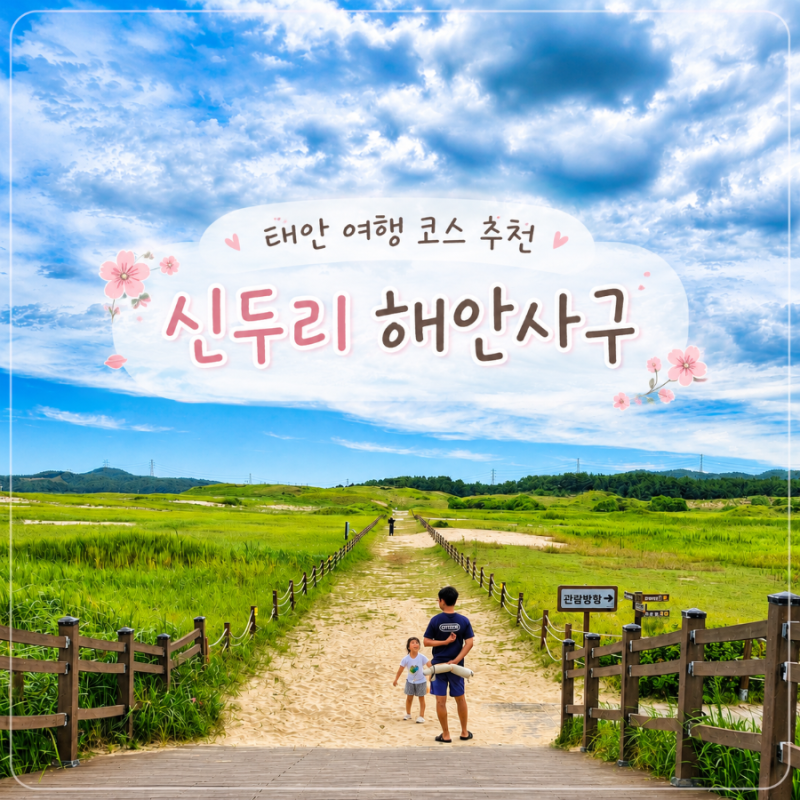 Taean Sinduri Coastal Dune: A Great Travel Course for Sand Play with Kids and Beach Walks