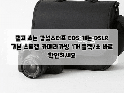 믿고 쓰는 감성스터프 EOS 캐논 DSLR 기본 스트랩 카메라가방 1개 블랙/소 바로 확인하세요