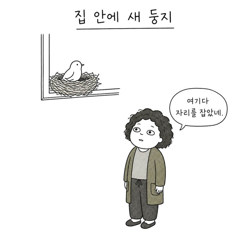 새가 집 안에 둥지를 트는 꿈해몽 | 집에 자리 잡았다면 좋은 꿈일까요?