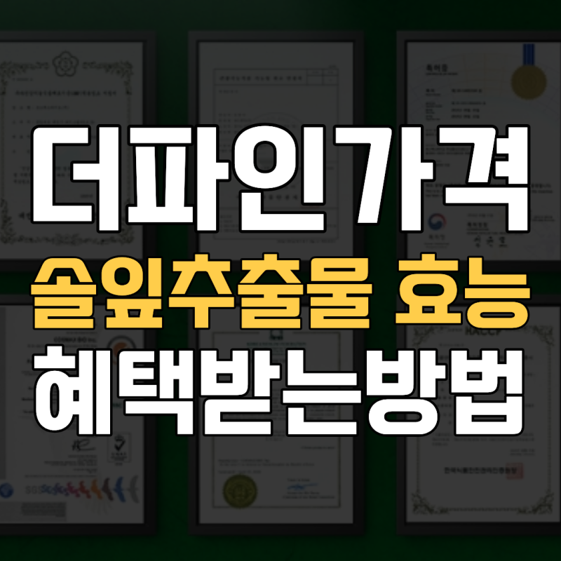 더파인솔잎 농축액 더파인프리미엄 가격 효능 후기