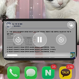 아이폰 유튜브 백그라운드에서 재생 시 작은 창으로 뜨는거 끄기 (pip끄기)