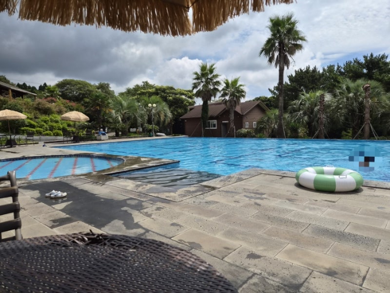 [Jeju Accommodation Recommendation] Amazing Value, Healing in Nature: Honest Review of Jeju IVE Resort Studio Double!