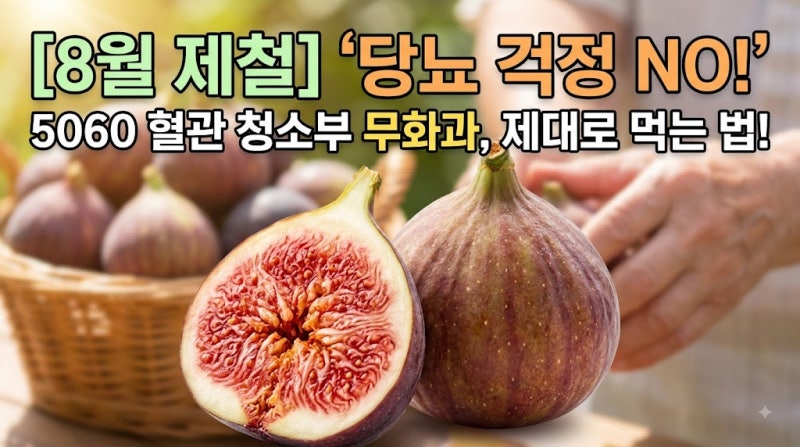[8월 제철] "달콤해서 당뇨에 안 좋다?" 5060 혈관 청소부 '무화과', 제대로 먹는 법!