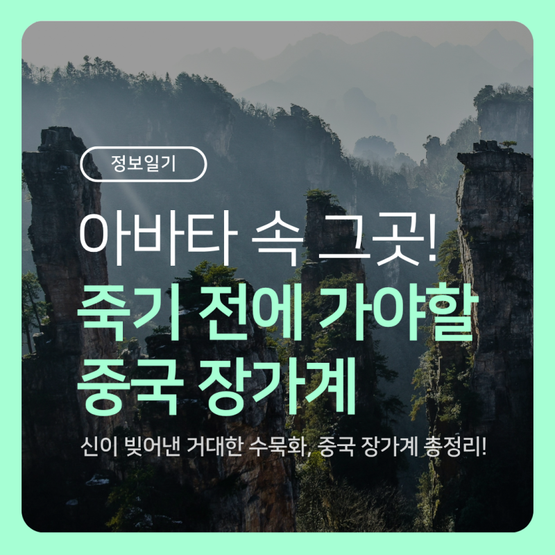 [정보일기] 여기 지구 맞아요? 아바타 속 그 장소! 중국 장가계 여행 총정리
