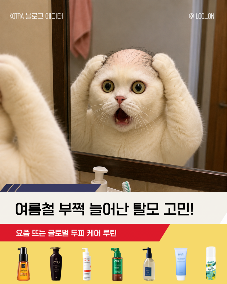 [KOTRA 블로그 에디터] 여름철 부쩍 늘어난 탈모 고민, 요즘 뜨는 글로벌 두피 케어 루틴을 소....