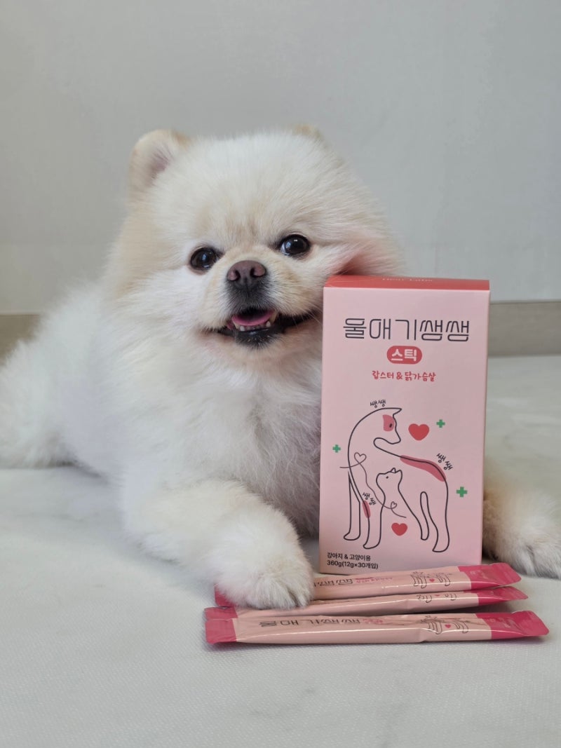 짜먹는 강아지 영양제 울애기쌩쌩 스틱, 사료 없이도 잘 먹은 급여 후기