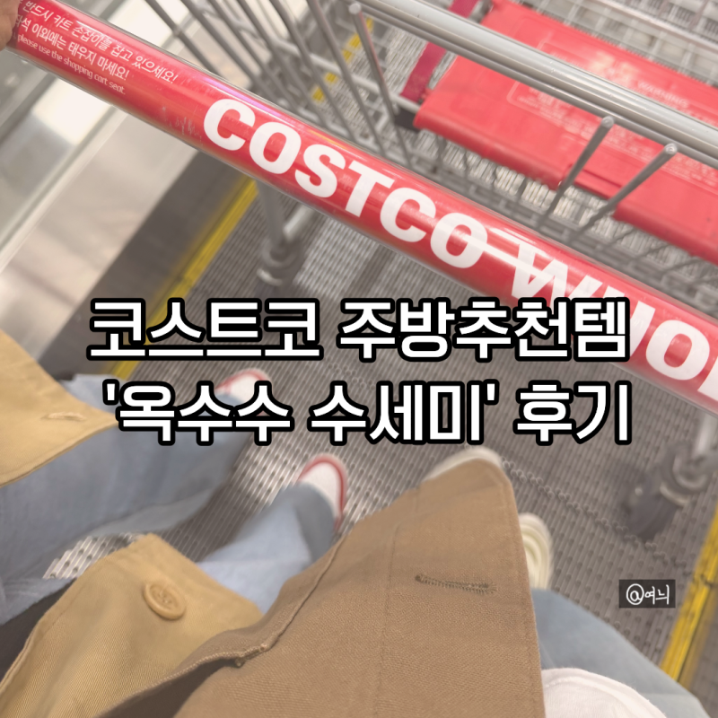 이거 놓치면 아쉬워요…코스트코 스카치브라이트 옥수수그물망사 수세미, 세일 마감 전 후....