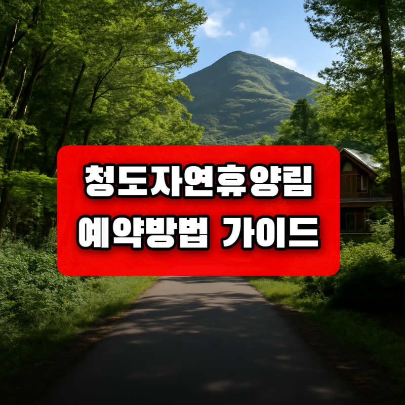 청도자연휴양림 예약방법 가이드 | 계곡, 숲속의집·산림문화휴양관 완벽 확인