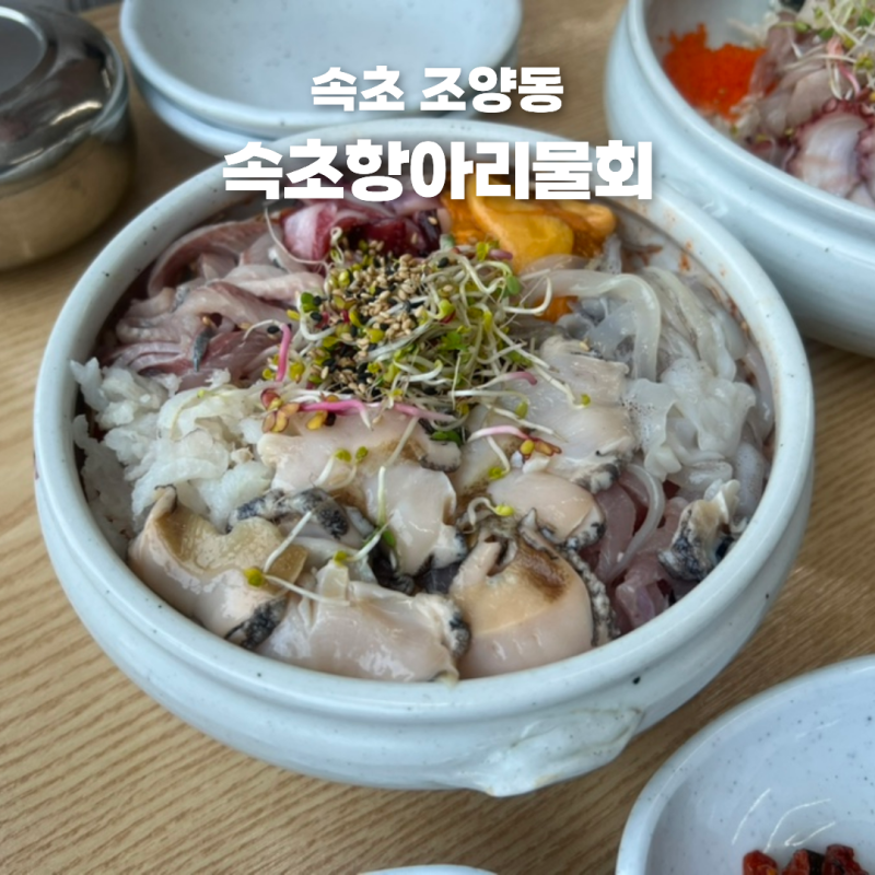 속초3대물회맛집 몇 년째 방문하고 있는 속초항아리물회
