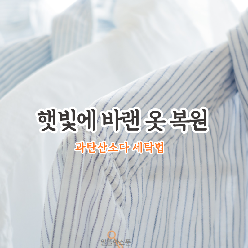 햇빛에 바랜 옷 복원하는 방법? 과탄산소다 세탁법과 주의사항
