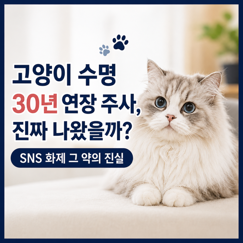 고양이 수명연장 주사 개발됐다? SNS에서 난리 난 소문의 진실