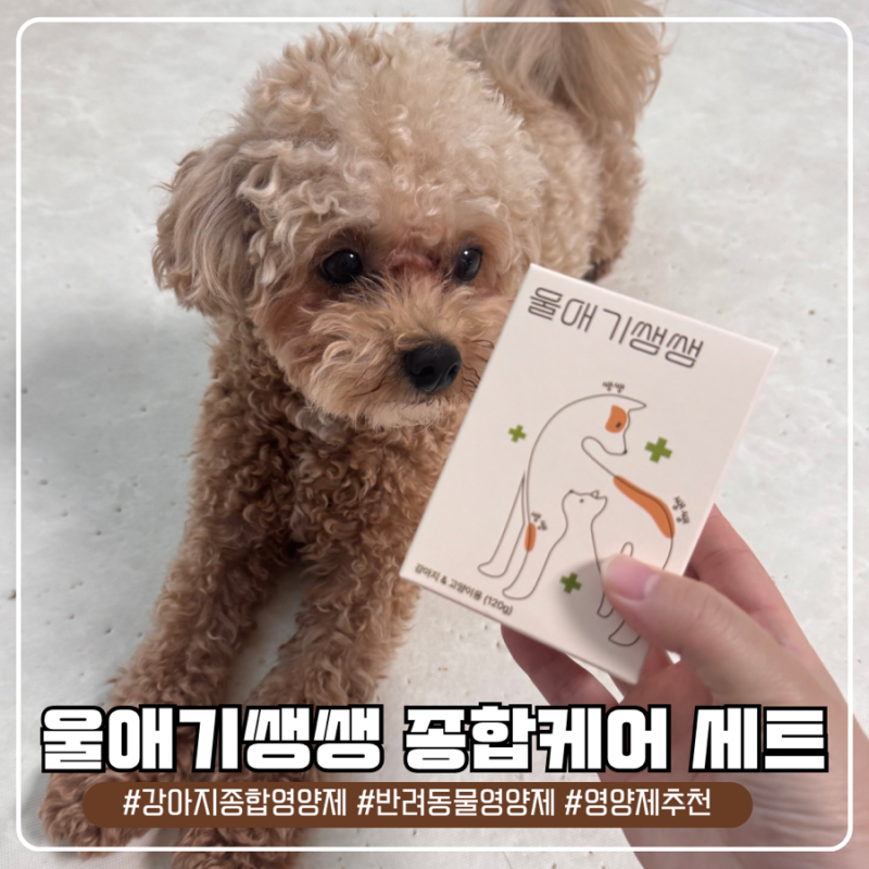 반려견 9대 전신 건강 올인원 케어! 강아지종합영양제 울애기쌩쌩 기획 패키지