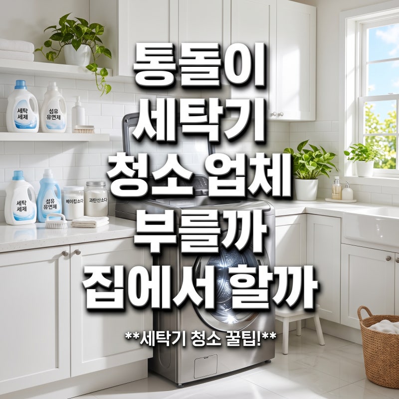 통돌이 세탁기 청소 업체 부를까 집에서 할까