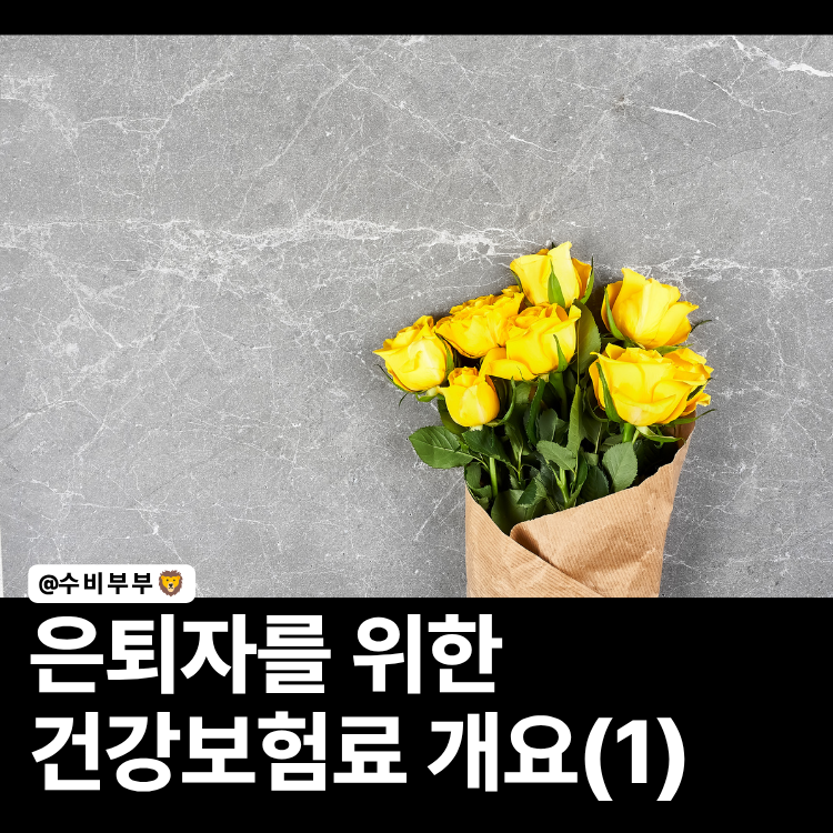 조기은퇴자를 위한 건강보험료 개요 완전정리 (1)