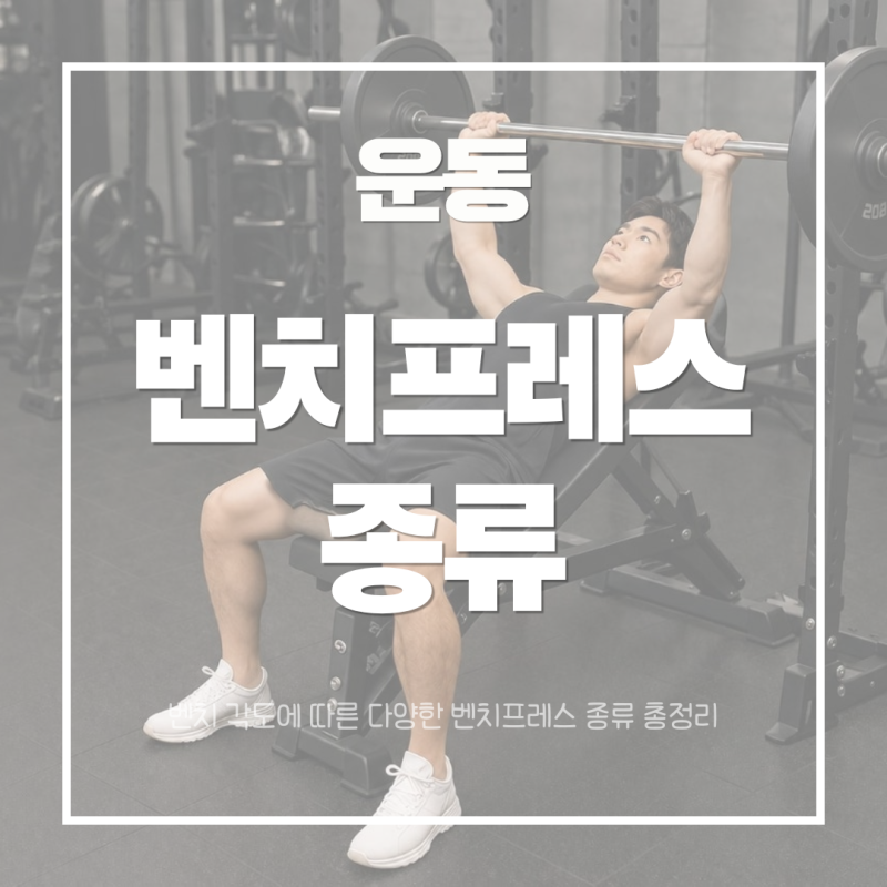 운동 | 벤치프레스 종류 총정리! 플랫·인클라인·디클라인 특징과 운동 목적