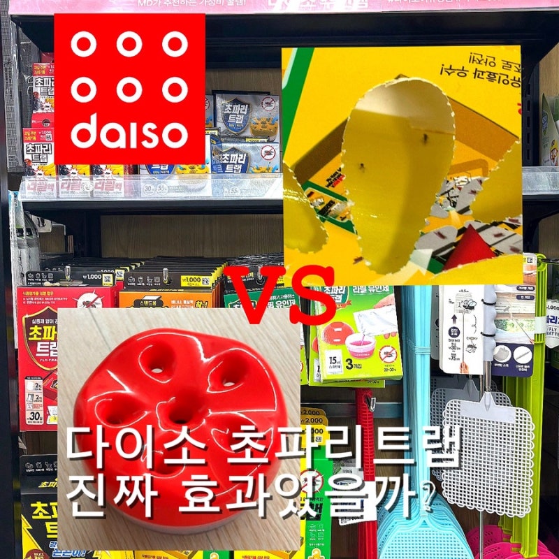 다이소 초파리 트랩 추천 종류별 비교 후기까지