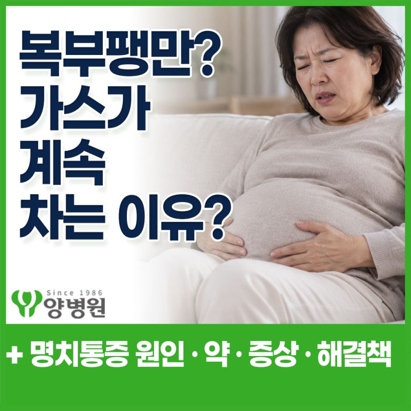 복부팽만? 배에 가스가 계속 차는 이유는? 명치통증 원인과 병원 가야 하는 증상 · 해결책 · ....