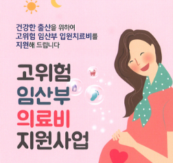 고위험 임산부 의료비 지원 최대 300만 원 총정리: 19대 질환·소득기준 폐지·신청 서류 한 번....