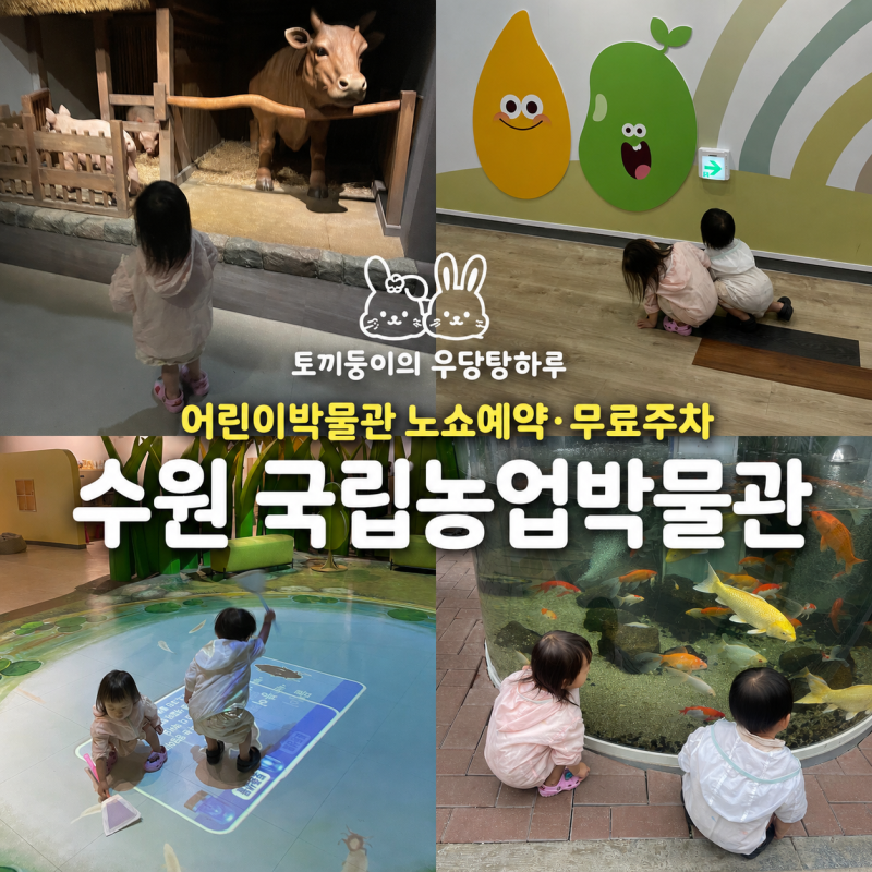 수원 국립농업박물관 비오는날｜어린이박물관 노쇼예약·무료주차