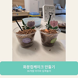 화분컵케이크 만들기 키트｜36개월 아이와 집콕놀이 홈베이킹
