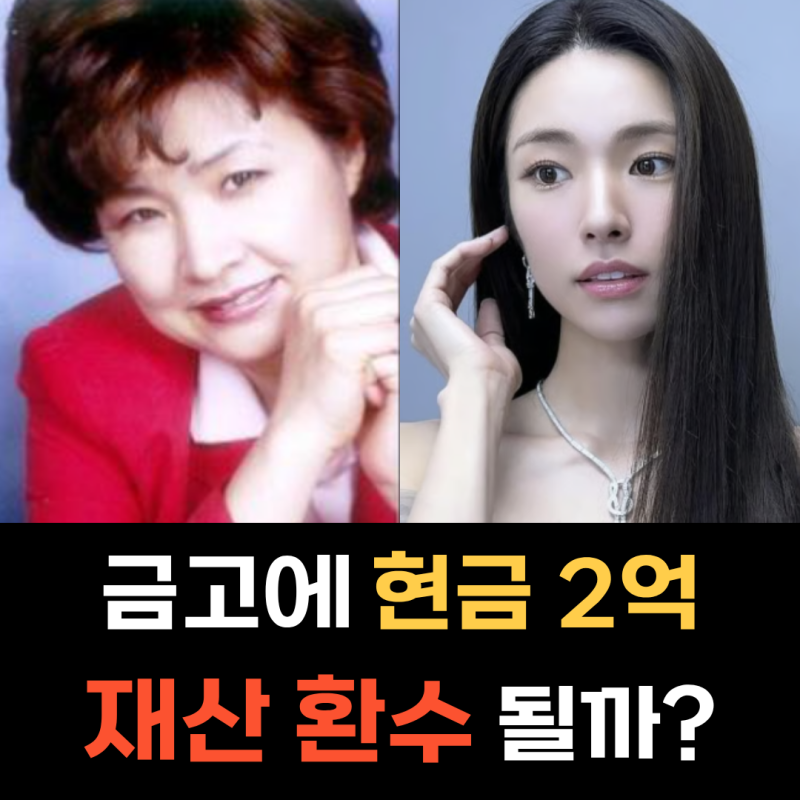 하영 엄마 코어메드 이미숙 대표 금고 2억 친일 논란 및 재산 환수법 총정리